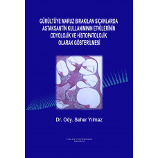 GÜRÜLTÜYE MARUZ BIRAKILAN SIÇANLARDA ASTAKSANTİN KULLANIMININ ETKİLERİNİN ODYOLOJİK VE HİSTOPATOLOJİK OLARAK GÖSTERİLMESİ (Dr. Ody. SEHER YILMAZ)